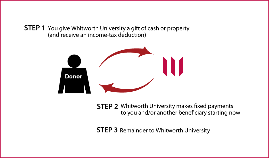 Immediate-Payment Charitable Gift Annuity Thumbnail