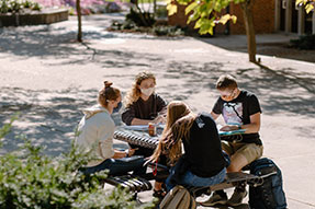 Photo of students studying. Link to Gifts from Retirement Plans. Photo of students studying. Link to Gifts from Retirement Plans.